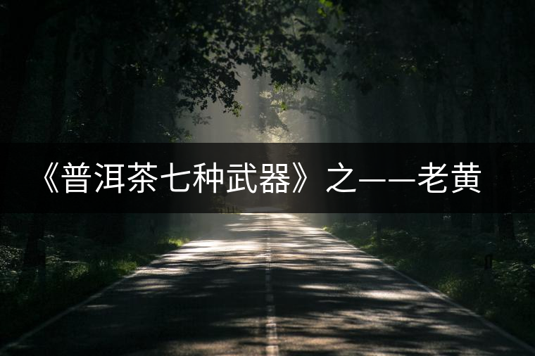 《普洱茶七種武器》之——老黃片