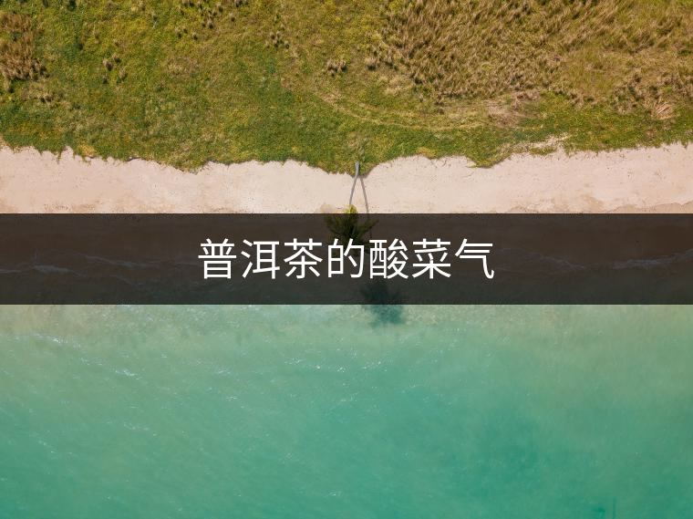 普洱茶的酸菜氣