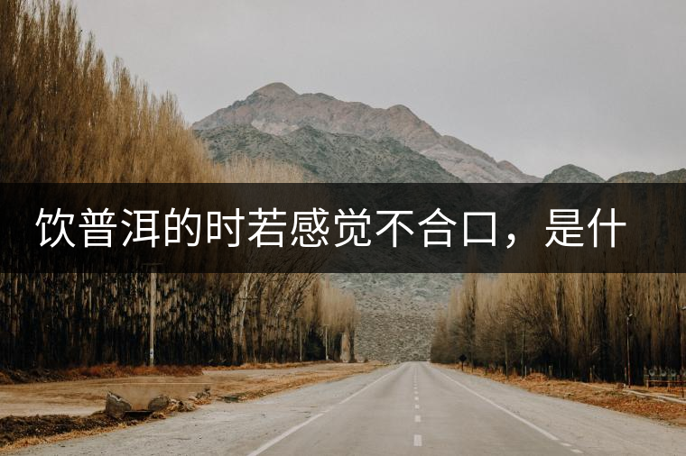 飲普洱的時若感覺不合口，是什么原呢？