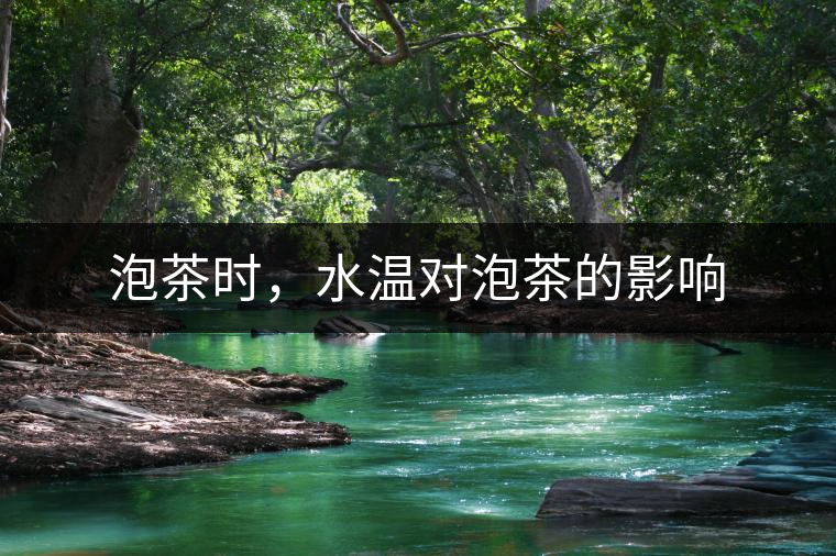 泡茶時，水溫對泡茶的影響