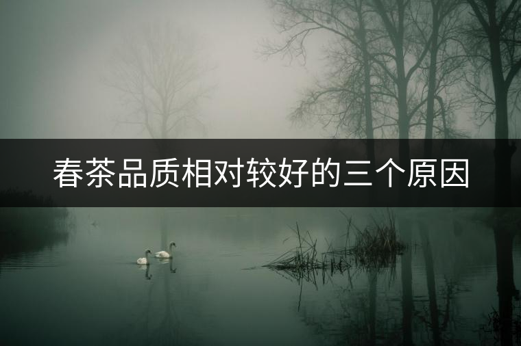 春茶品質(zhì)相對(duì)較好的三個(gè)原因 春茶品質(zhì)相對(duì)較好的三個(gè)原因