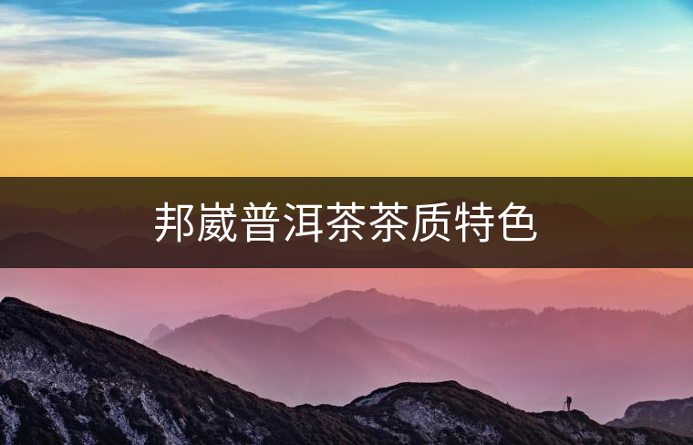 邦崴普洱茶茶質(zhì)特色