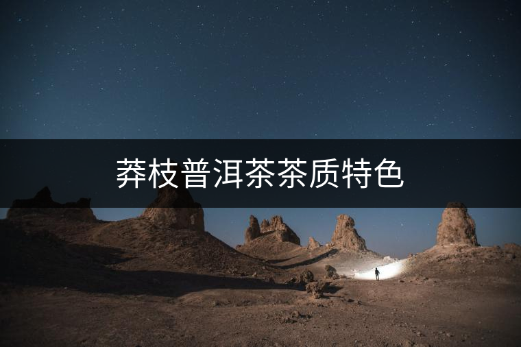 莽枝普洱茶茶質(zhì)特色