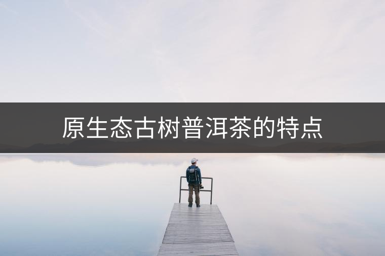 原生態(tài)古樹普洱茶的特點