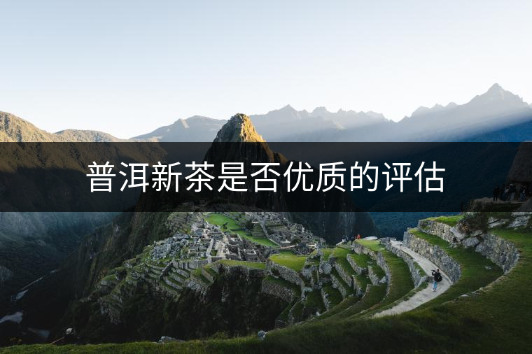 普洱新茶是否優(yōu)質(zhì)的評(píng)估 普洱新茶是否優(yōu)質(zhì)的評(píng)估