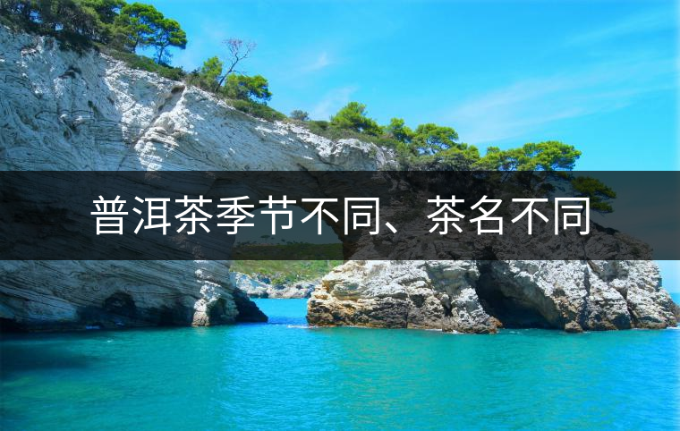 普洱茶季節(jié)不同、茶名不同