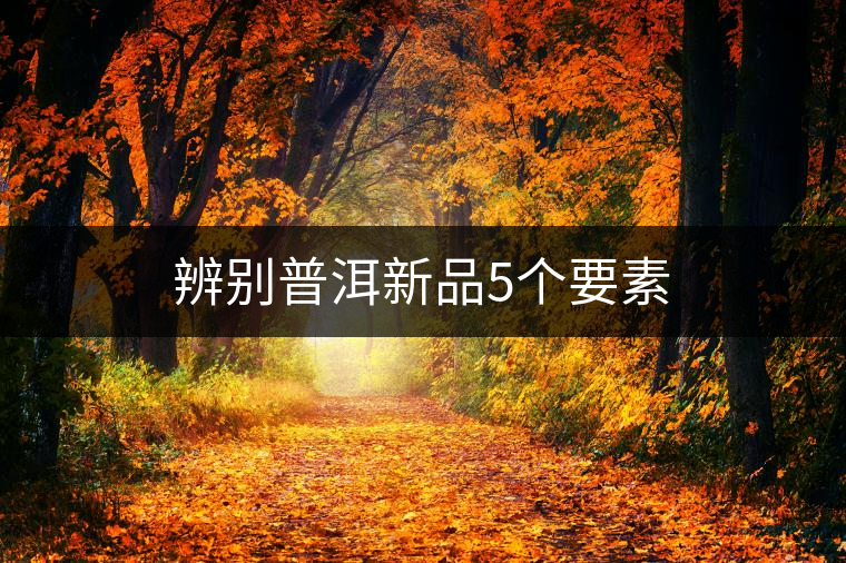 辨別普洱新品5個要素