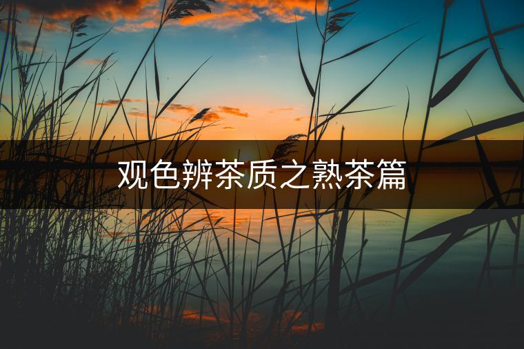 觀色辨茶質之熟茶篇