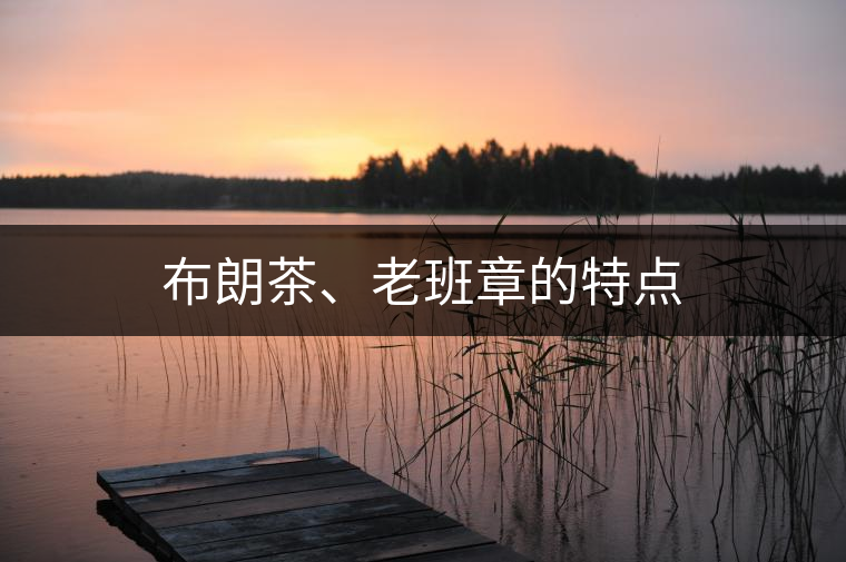 布朗茶、老班章的特點