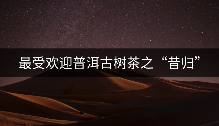 最受歡迎普洱古樹(shù)茶之“昔歸” 最受歡迎普洱古樹(shù)茶之“昔歸”