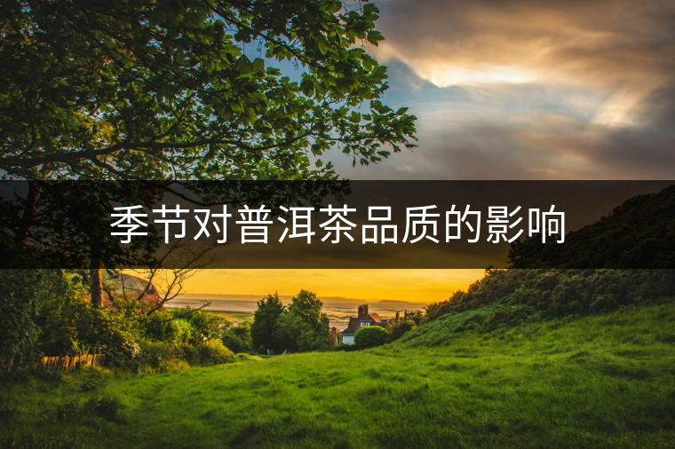 季節(jié)對(duì)普洱茶品質(zhì)的影響 季節(jié)對(duì)普洱茶品質(zhì)的影響