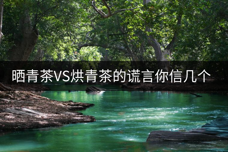 曬青茶VS烘青茶的謊言你信幾個(gè)？