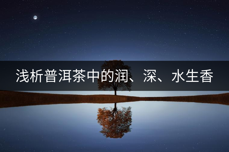 淺析普洱茶中的潤、深、水生香