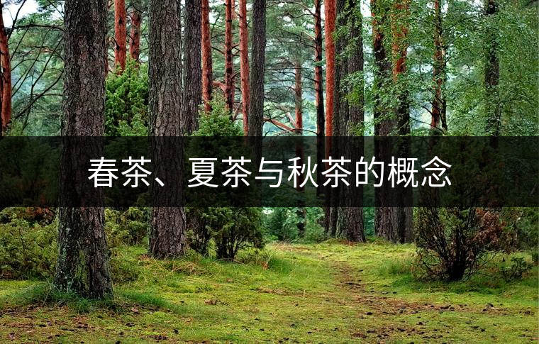 春茶、夏茶與秋茶的概念
