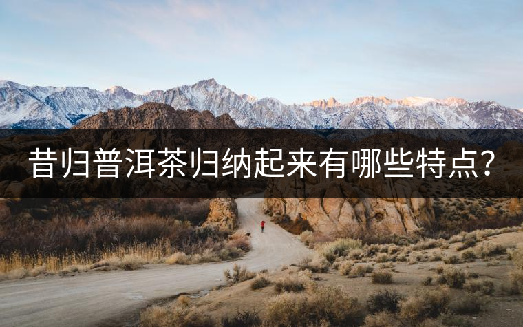 昔歸普洱茶歸納起來(lái)有哪些特點(diǎn)？