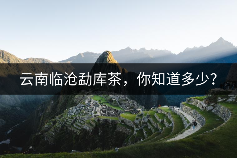 云南臨滄勐庫茶，你知道多少？