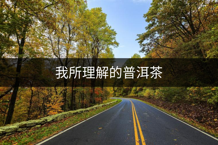 我所理解的普洱茶