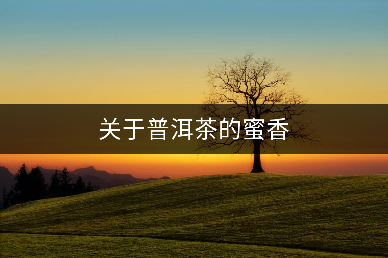 關(guān)于普洱茶的蜜香