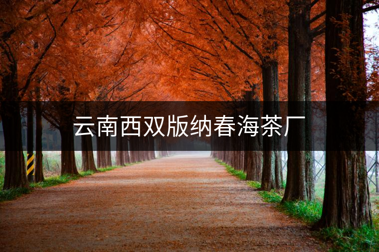 云南西雙版納春海茶廠