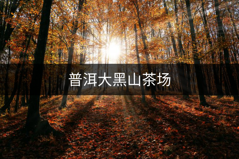 普洱大黑山茶場(chǎng) 普洱大黑山茶場(chǎng)