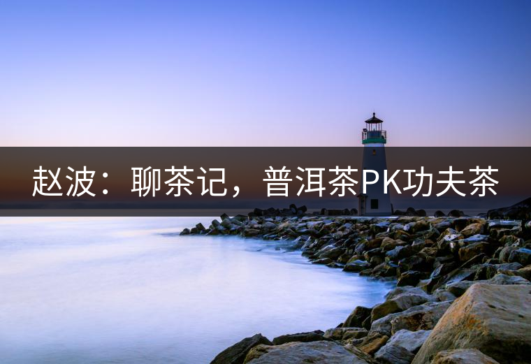 趙波：聊茶記，普洱茶PK功夫茶