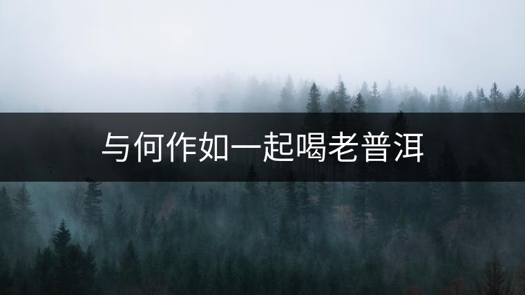 與何作如一起喝老普洱 與何作如一起喝老普洱