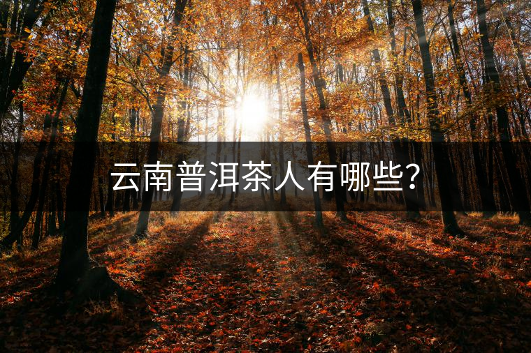云南普洱茶人有哪些？