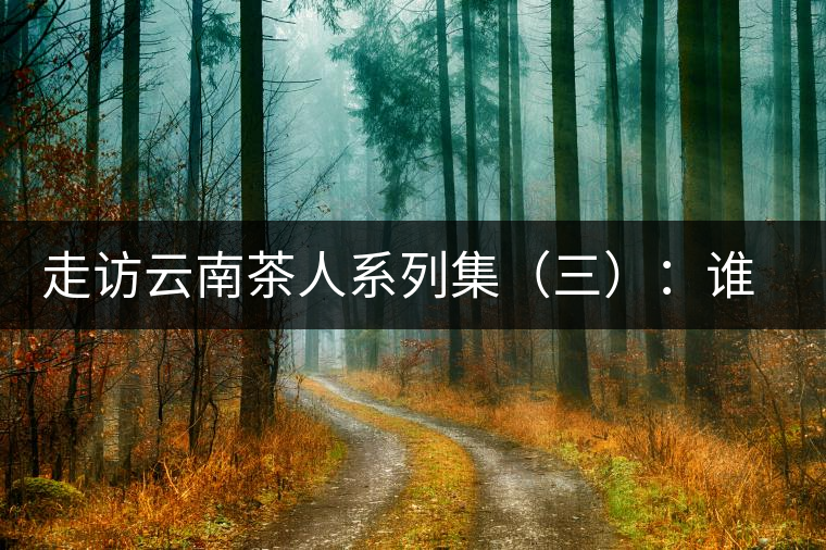 走訪云南茶人系列集（三）：誰說普洱不產(chǎn)茶？——張順高