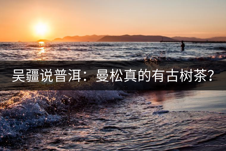 吳疆說普洱：曼松真的有古樹茶？