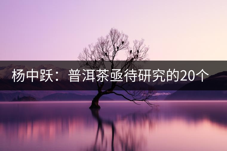 楊中躍:普洱茶亟待研究的20個問題 楊中躍:普洱茶亟待研究的20個問題