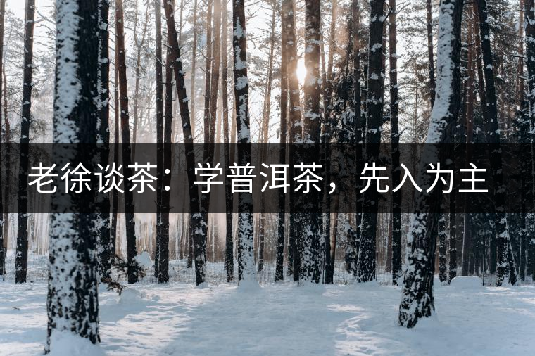 老徐談茶：學普洱茶，先入為主易被打臉，還得實踐出真知！