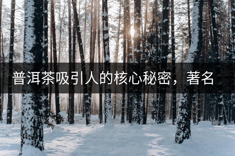 普洱茶吸引人的核心秘密，著名作家余秋雨先生三句話就告訴你