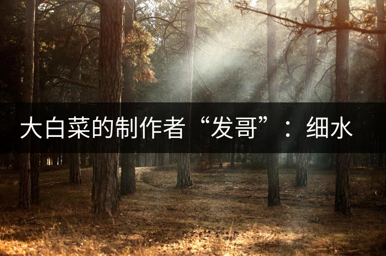 大白菜的制作者“發(fā)哥”：細(xì)水長流，做茶“急不得”