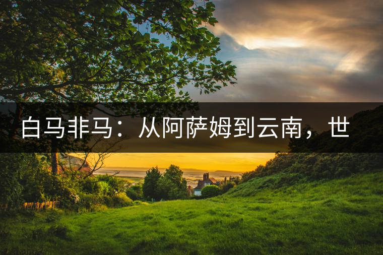 白馬非馬：從阿薩姆到云南，世界茶樹起源爭(zhēng)論的誤區(qū)