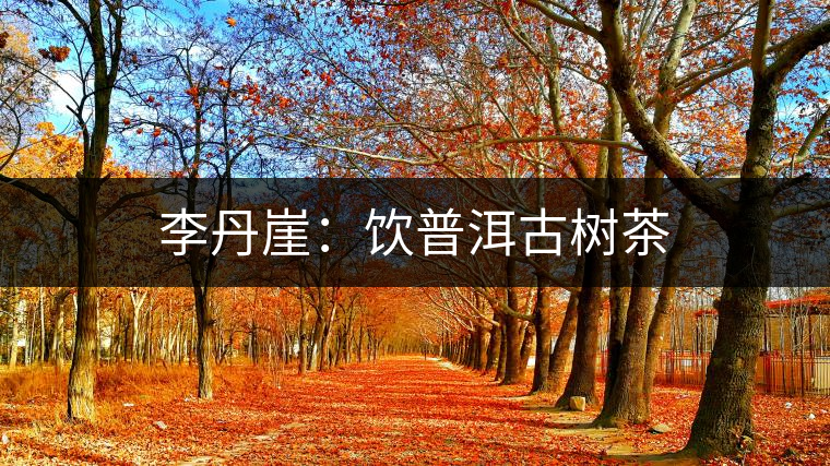 李丹崖：飲普洱古樹茶