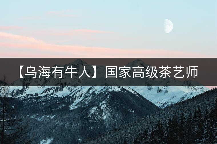 【烏海有牛人】國(guó)家高級(jí)茶藝師談古樹(shù)普洱茶