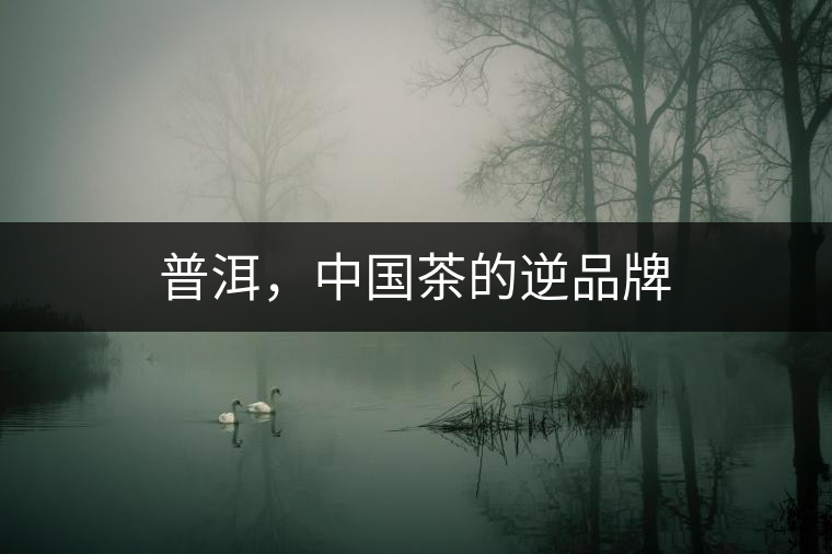 普洱，中國(guó)茶的逆品牌