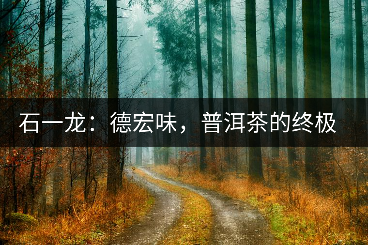 石一龍：德宏味，普洱茶的終極意境