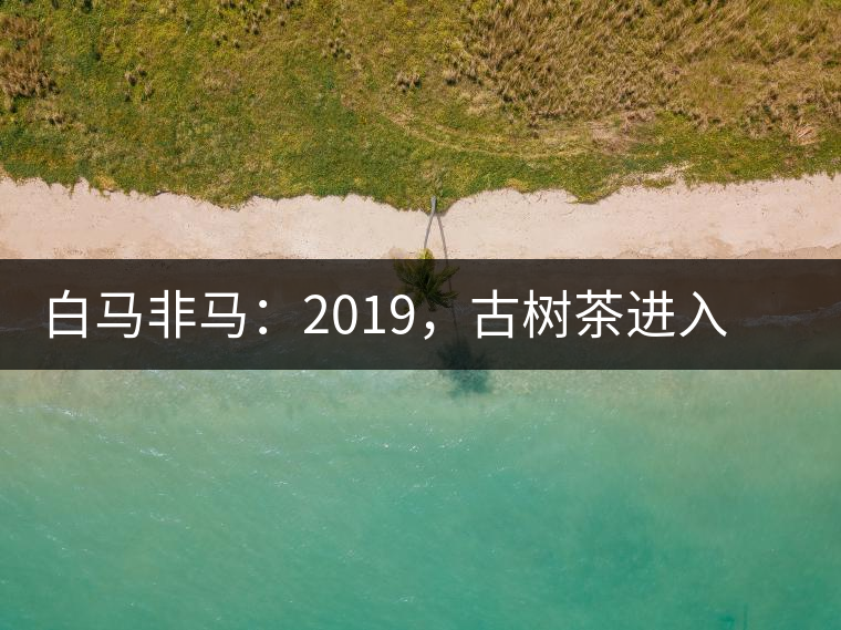 白馬非馬：2019，古樹茶進(jìn)入醇料時(shí)代