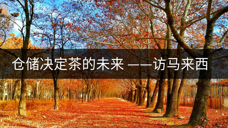 倉(cāng)儲(chǔ)決定茶的未來(lái) ——訪馬來(lái)西亞資深茶人 郭俊邦