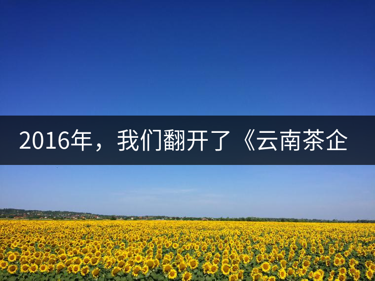 2016年，我們翻開了《云南茶企發(fā)展白皮書》