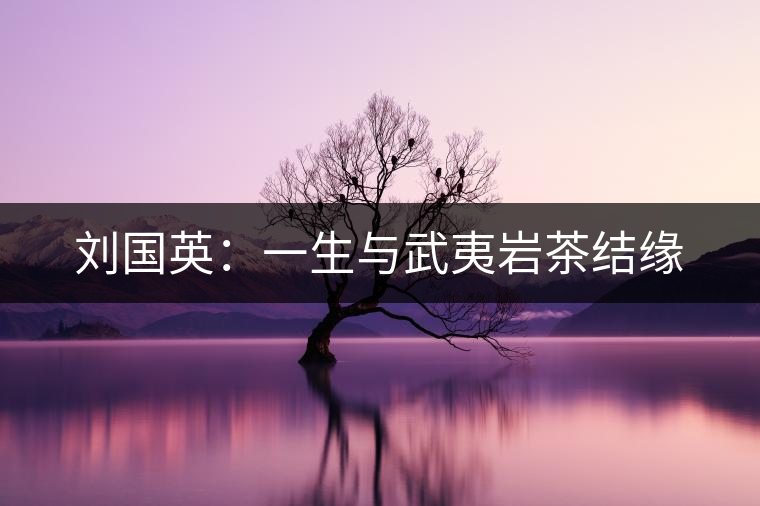 劉國(guó)英：一生與武夷巖茶結(jié)緣