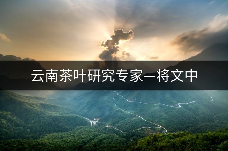 云南茶葉研究專家—將文中