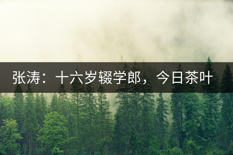張濤：十六歲輟學(xué)郎，今日茶葉中堅(jiān)