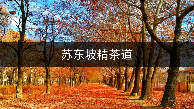 蘇東坡精茶道 蘇東坡精茶道