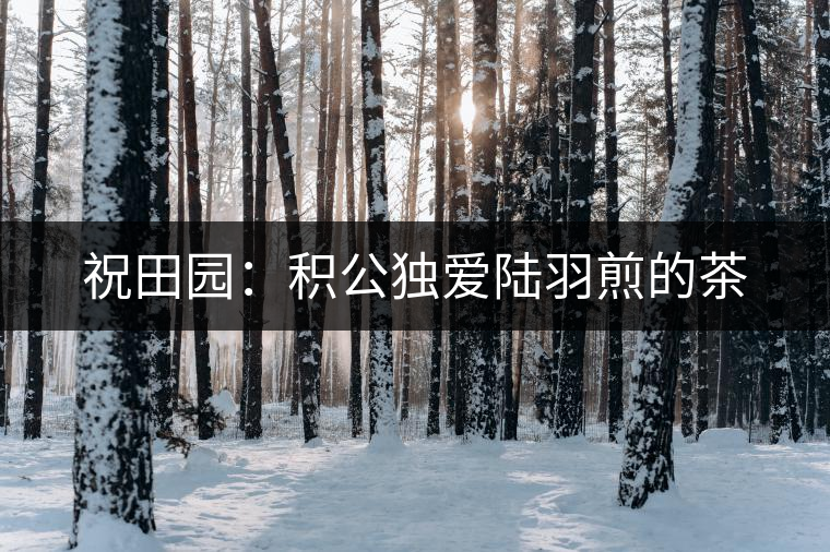 祝田園:積公獨(dú)愛陸羽煎的茶 祝田園:積公獨(dú)愛陸羽煎的茶