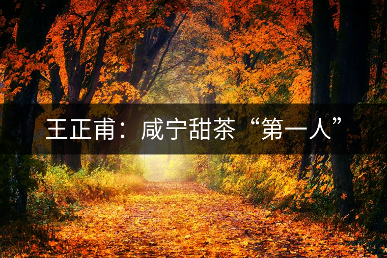 王正甫:咸寧甜茶“第一人” 王正甫:咸寧甜茶“第一人”