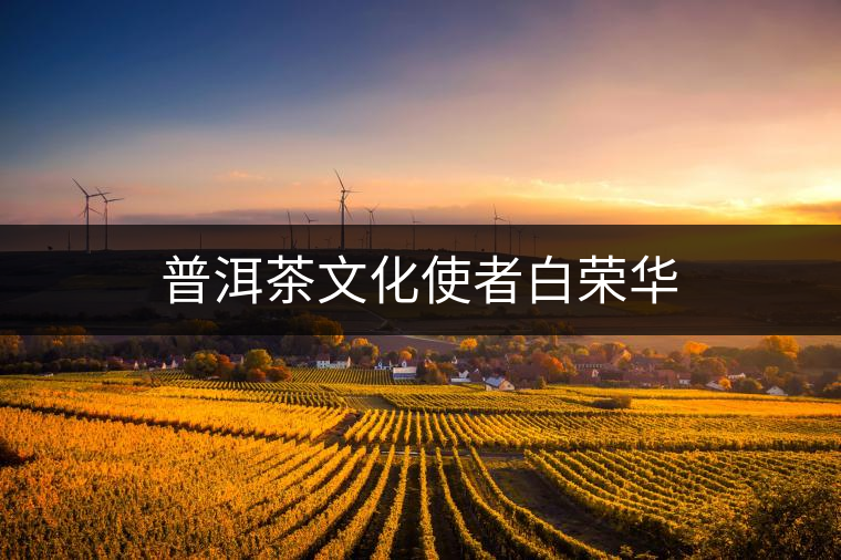 普洱茶文化使者白榮華