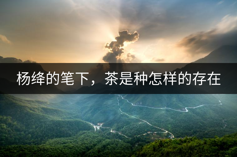 楊絳的筆下，茶是種怎樣的存在