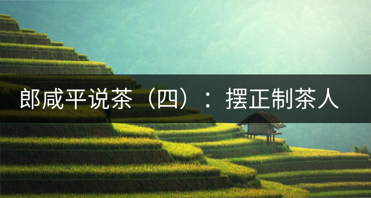 郎咸平說(shuō)茶（四）：擺正制茶人的地位